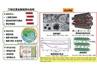 二維硫化物負極制備及其電化學(xué)性能